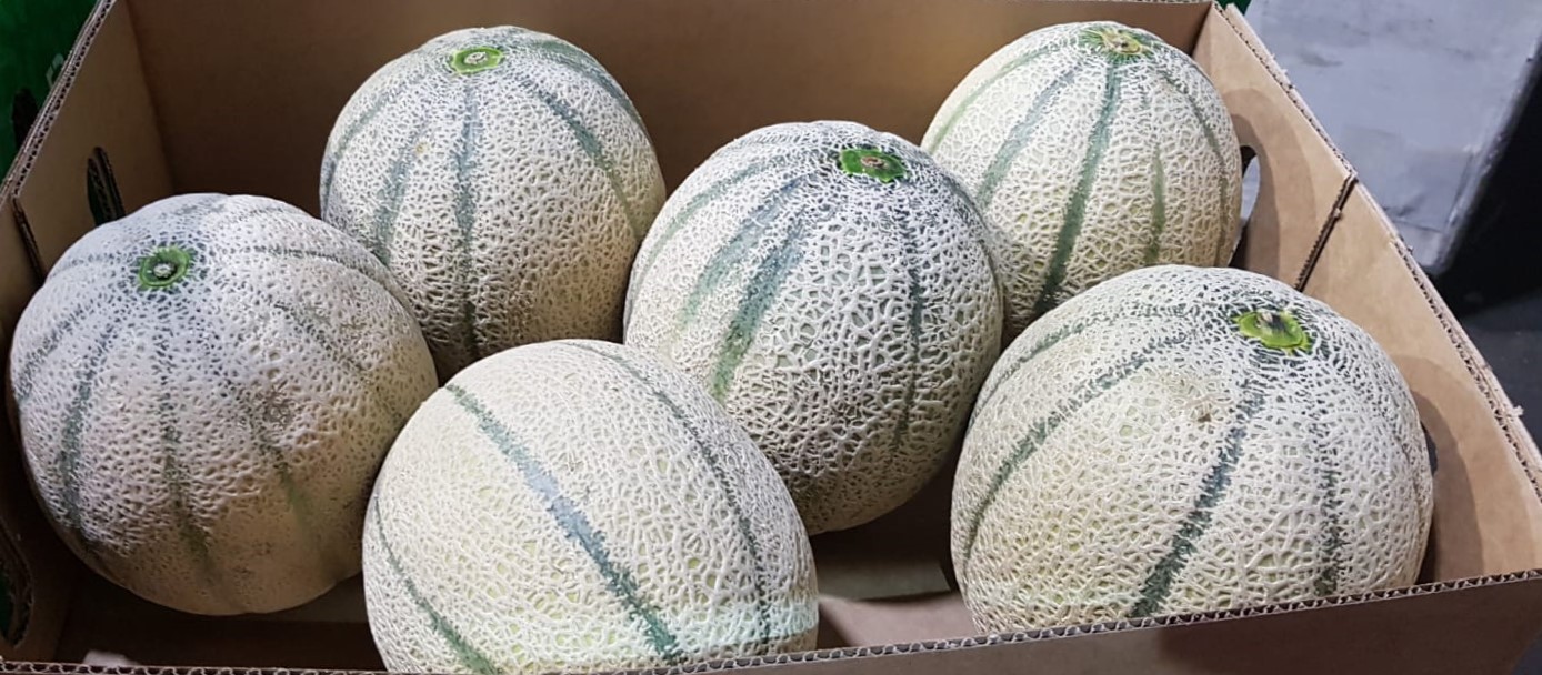 Melons